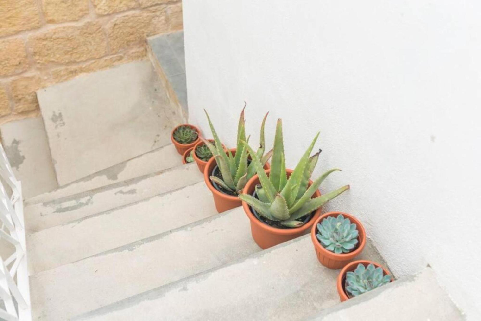 Authentic Gf Apartment With Terrace At The 3 Cities Marina Cospicua Екстериор снимка